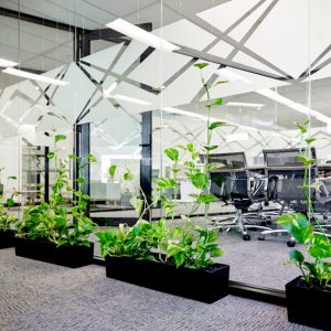 Customizing Glass Partitions