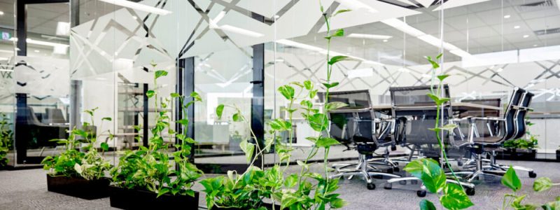 Customizing Glass Partitions